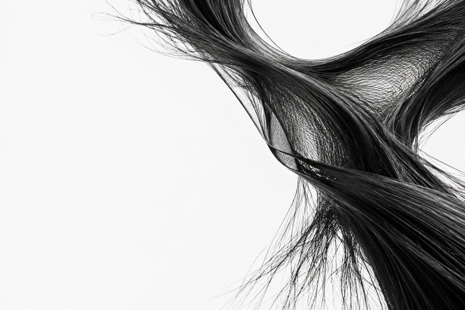 Fine black fibres forming an organic sculptural surface